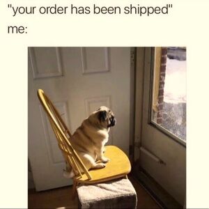 Just can’t help myself.​​​​​​​​​​